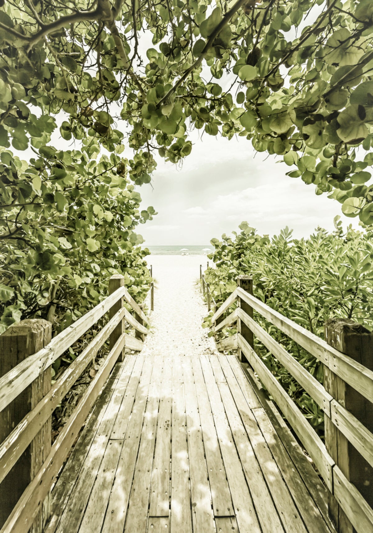 Percorso della spiaggia tropicale