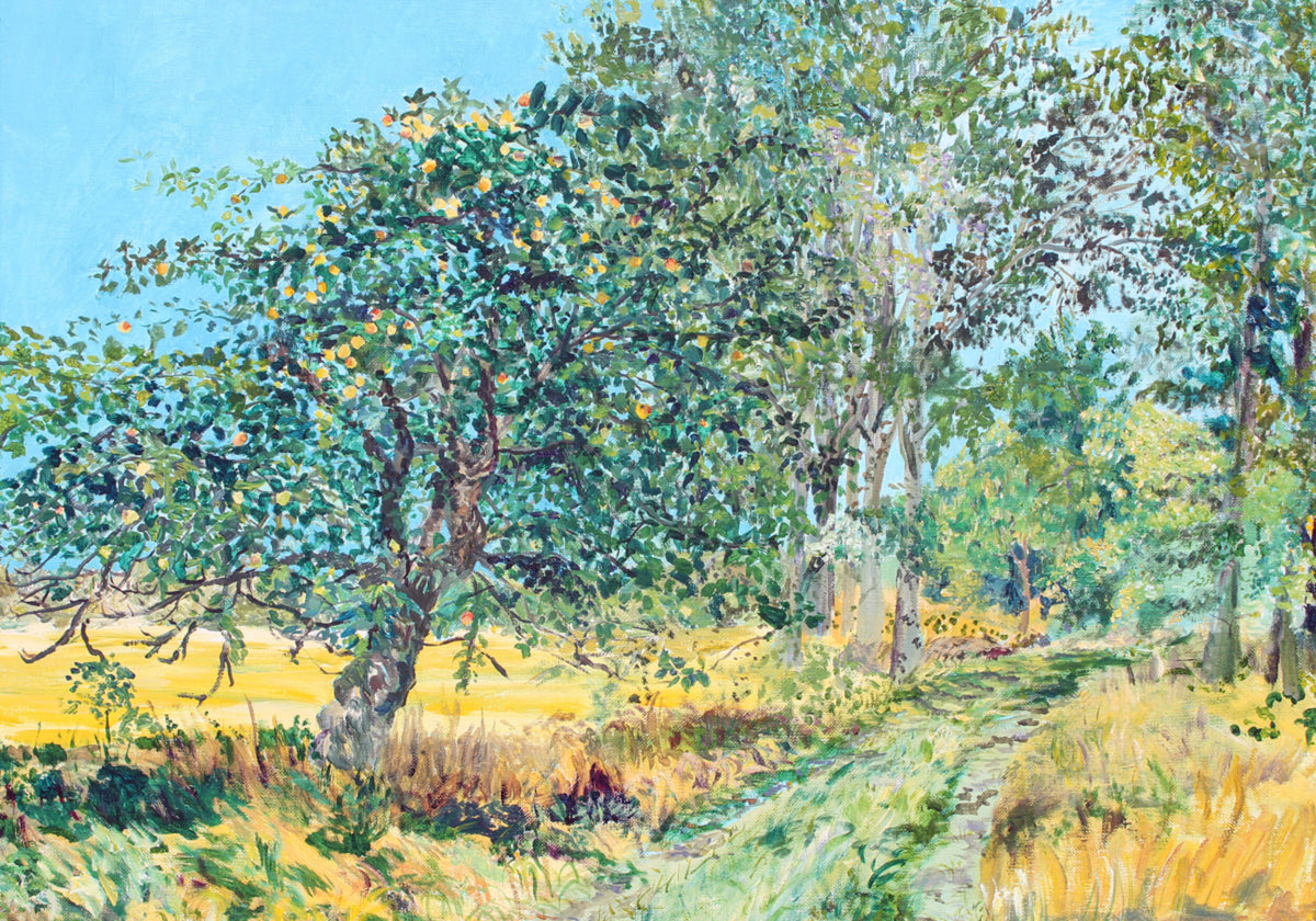 Sentiero soleggiato del frutteto