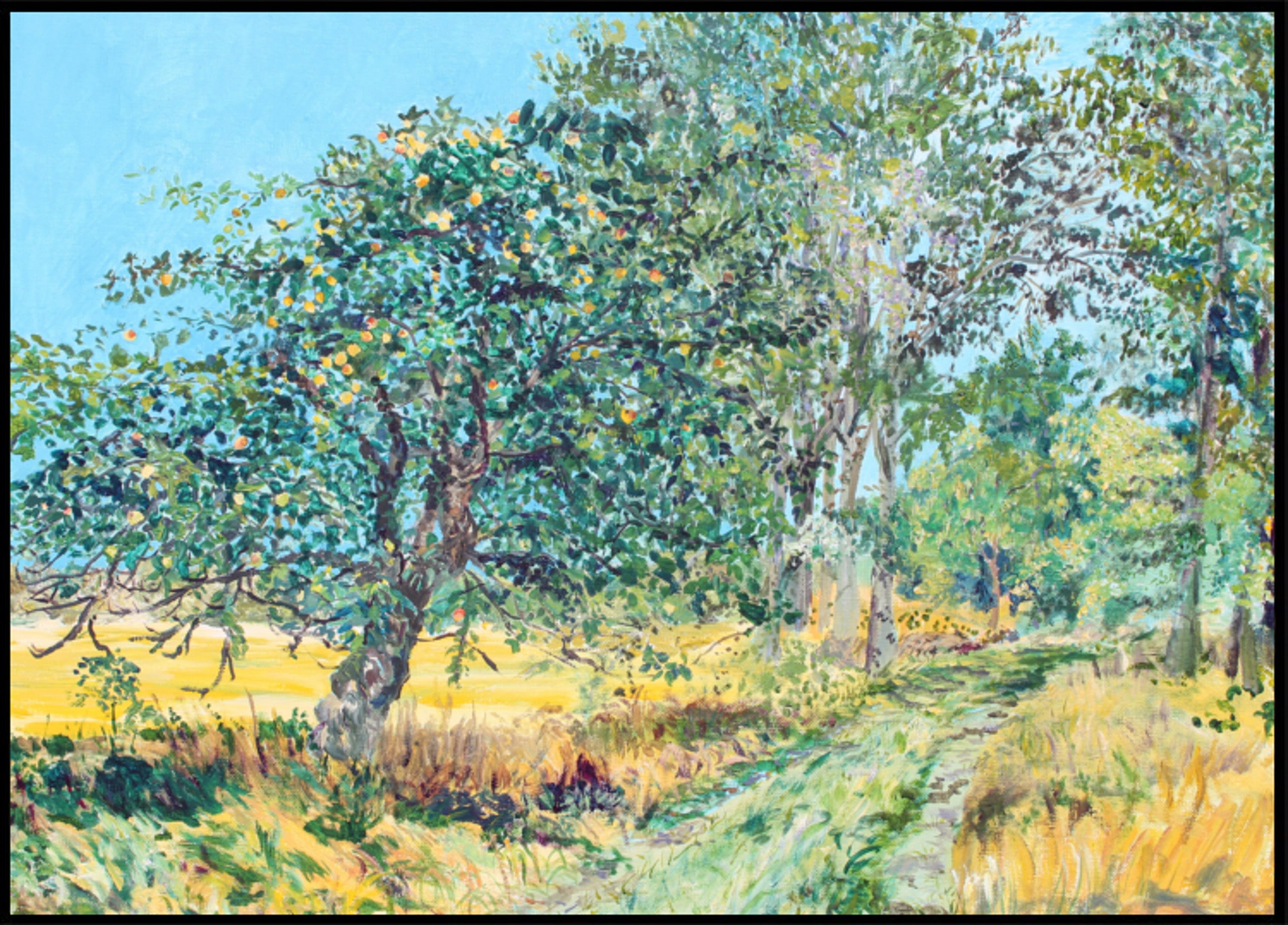 Sentiero soleggiato del frutteto
