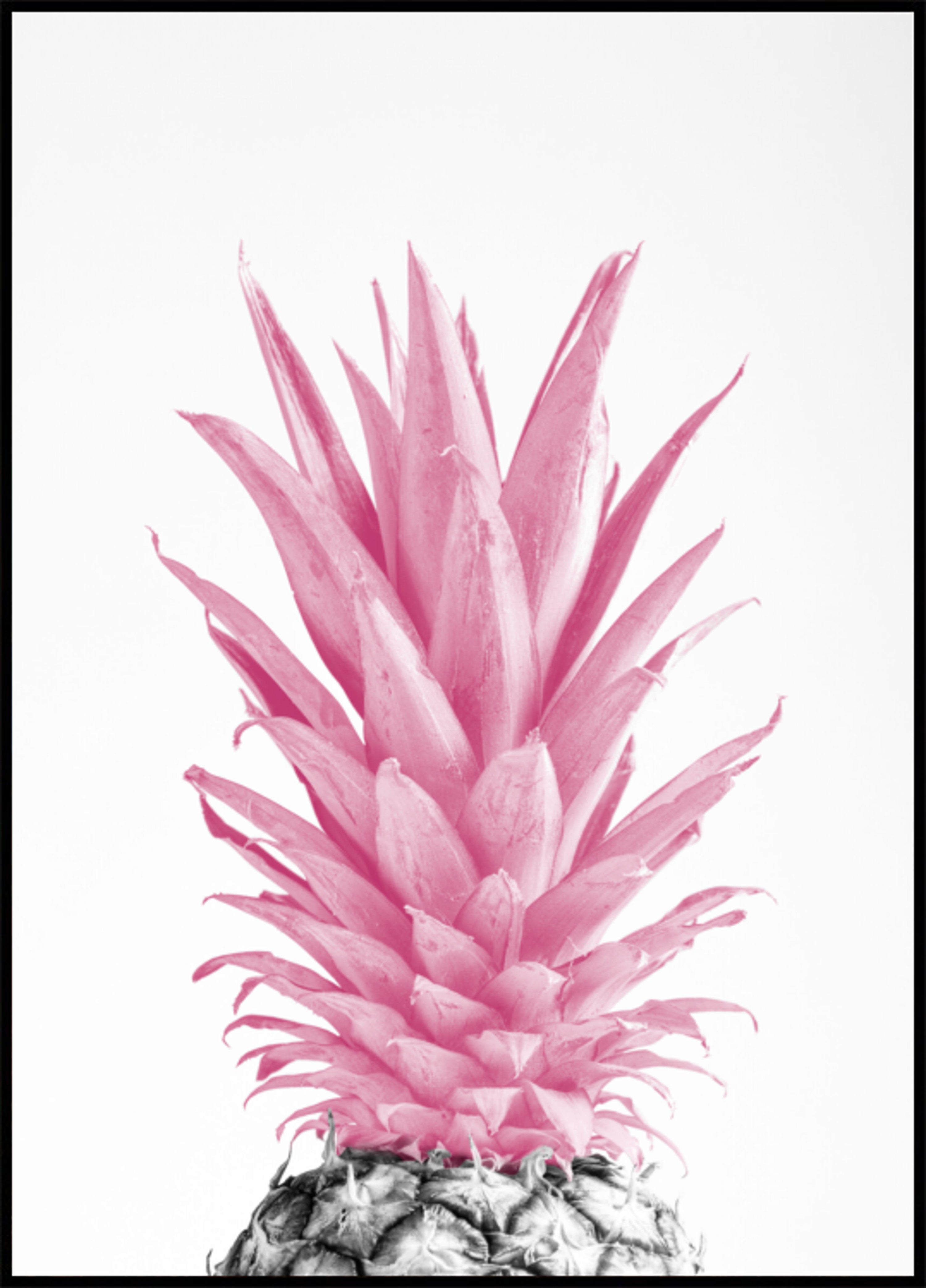 Ananas rosa tropicale