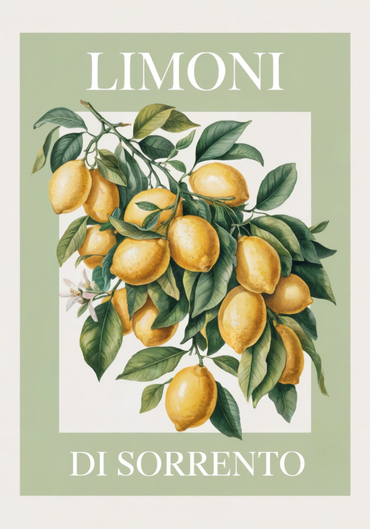 Limoni di Sorrento