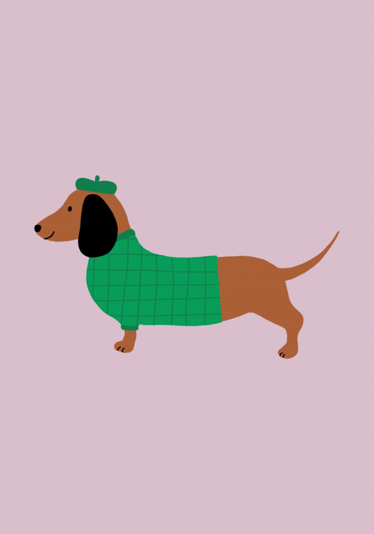 Cane elegante in maglione