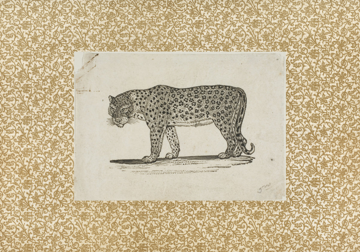 Schizzo di leopardo vintage