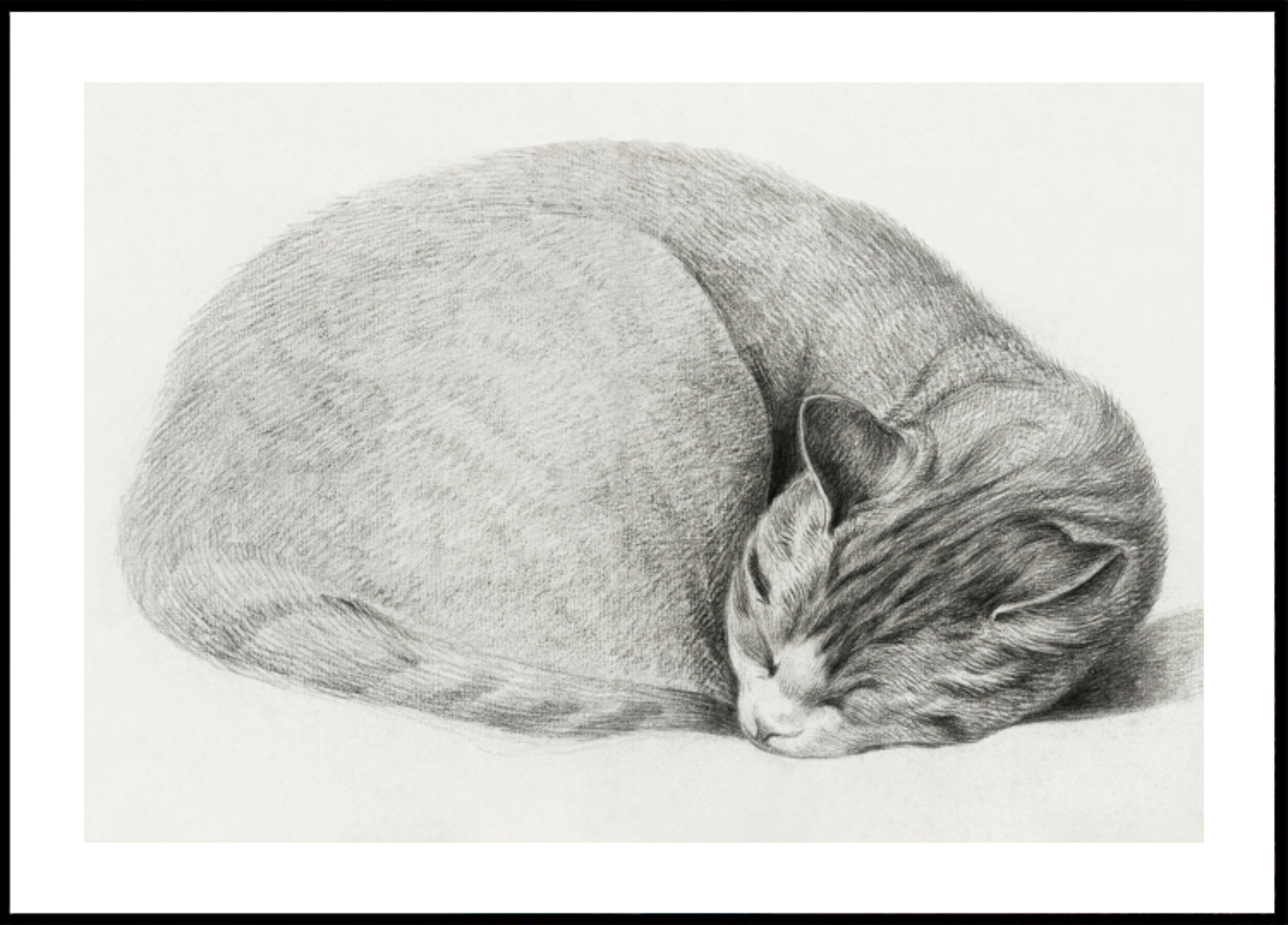 Gatto sdraiato e addormentato arrotolato di Jean Bernard (1775-1883)