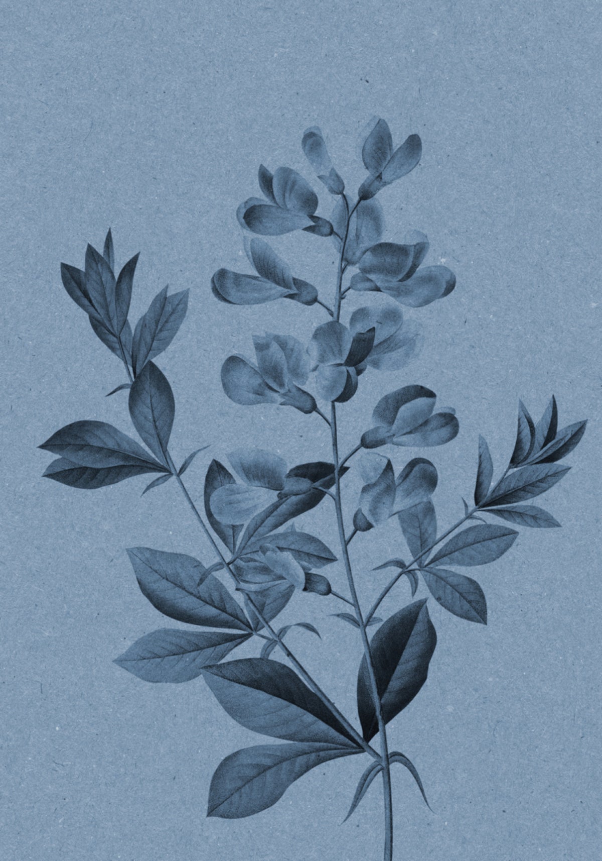 Elegante botanico blu