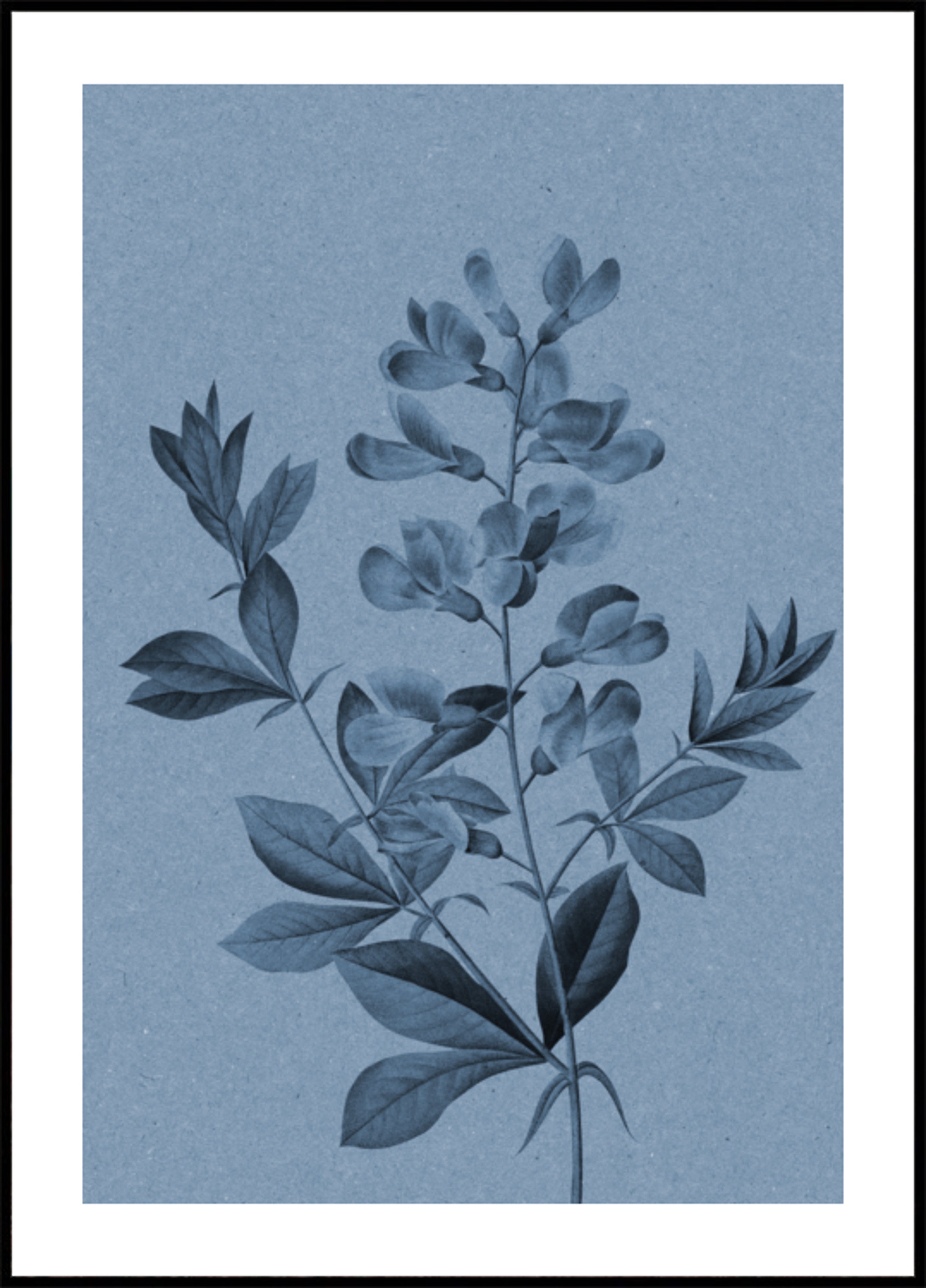 Elegante botanico blu