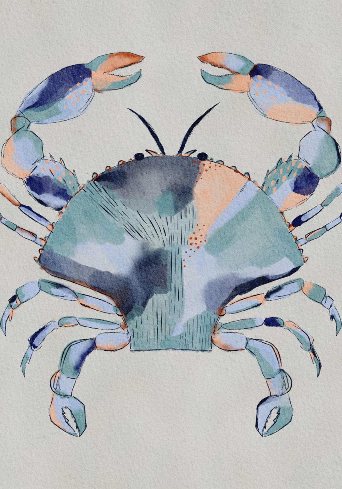Pittura di granchio blu costiero