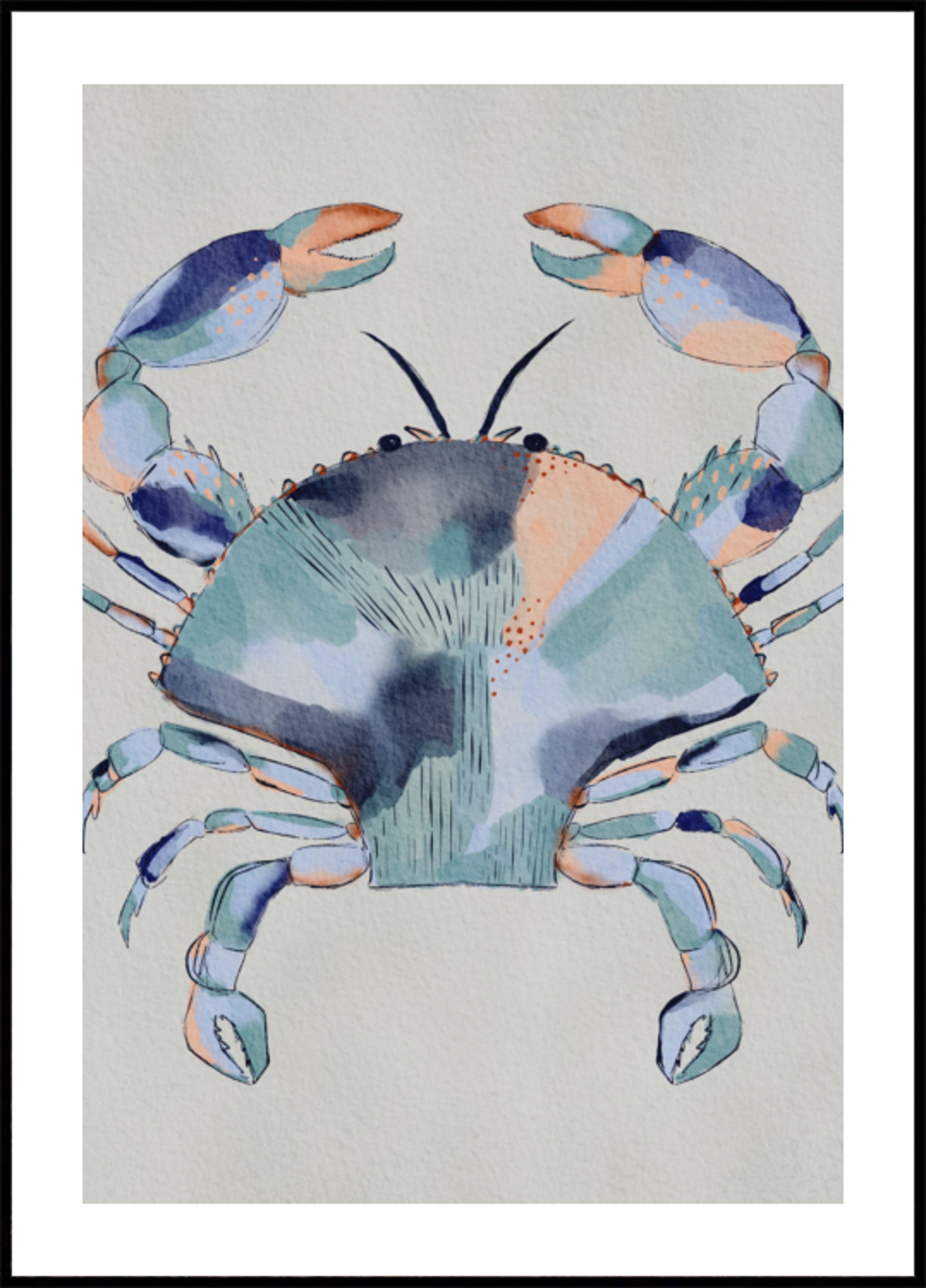 Pittura di granchio blu costiero