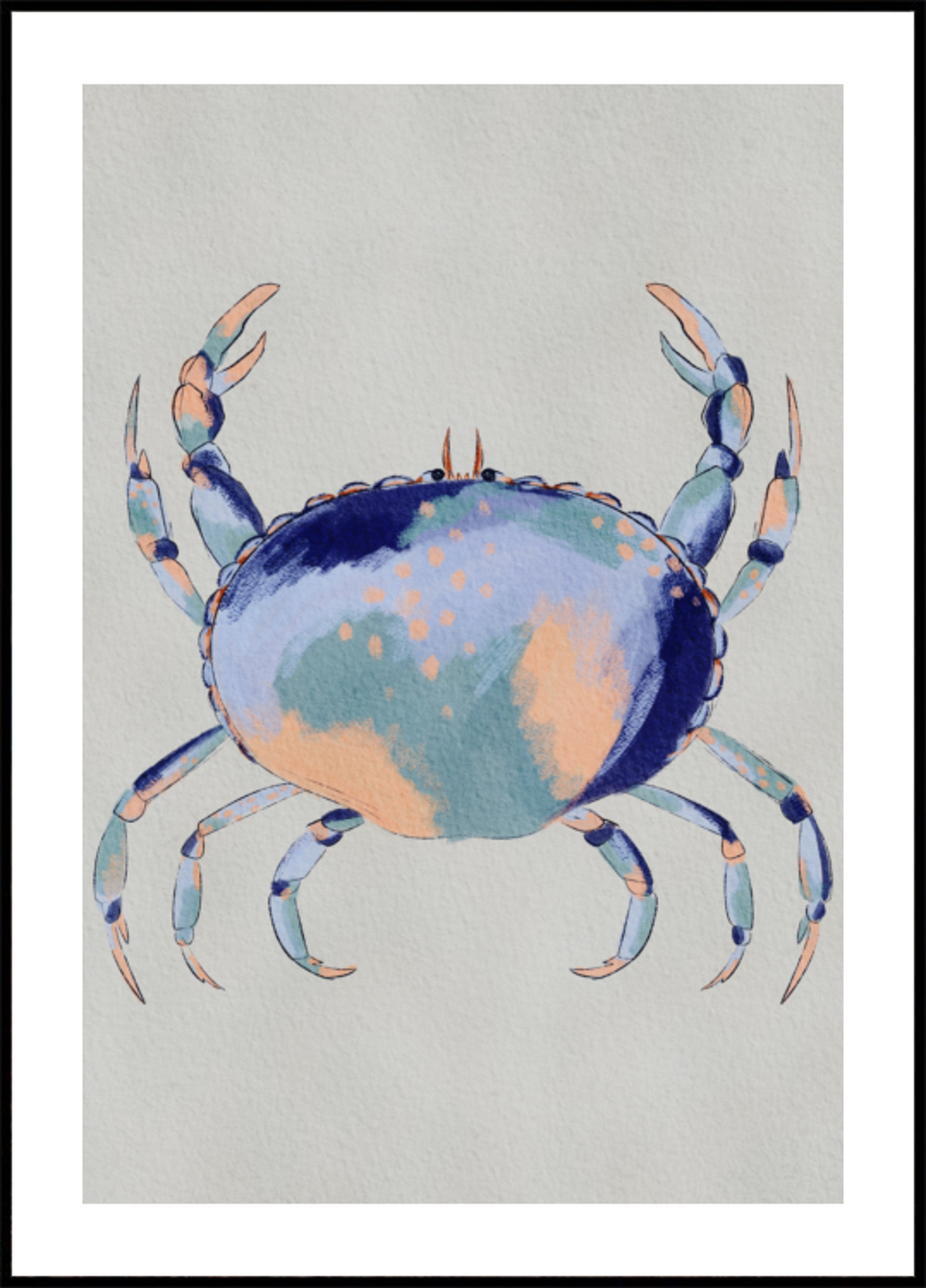 Granchio blu sereno