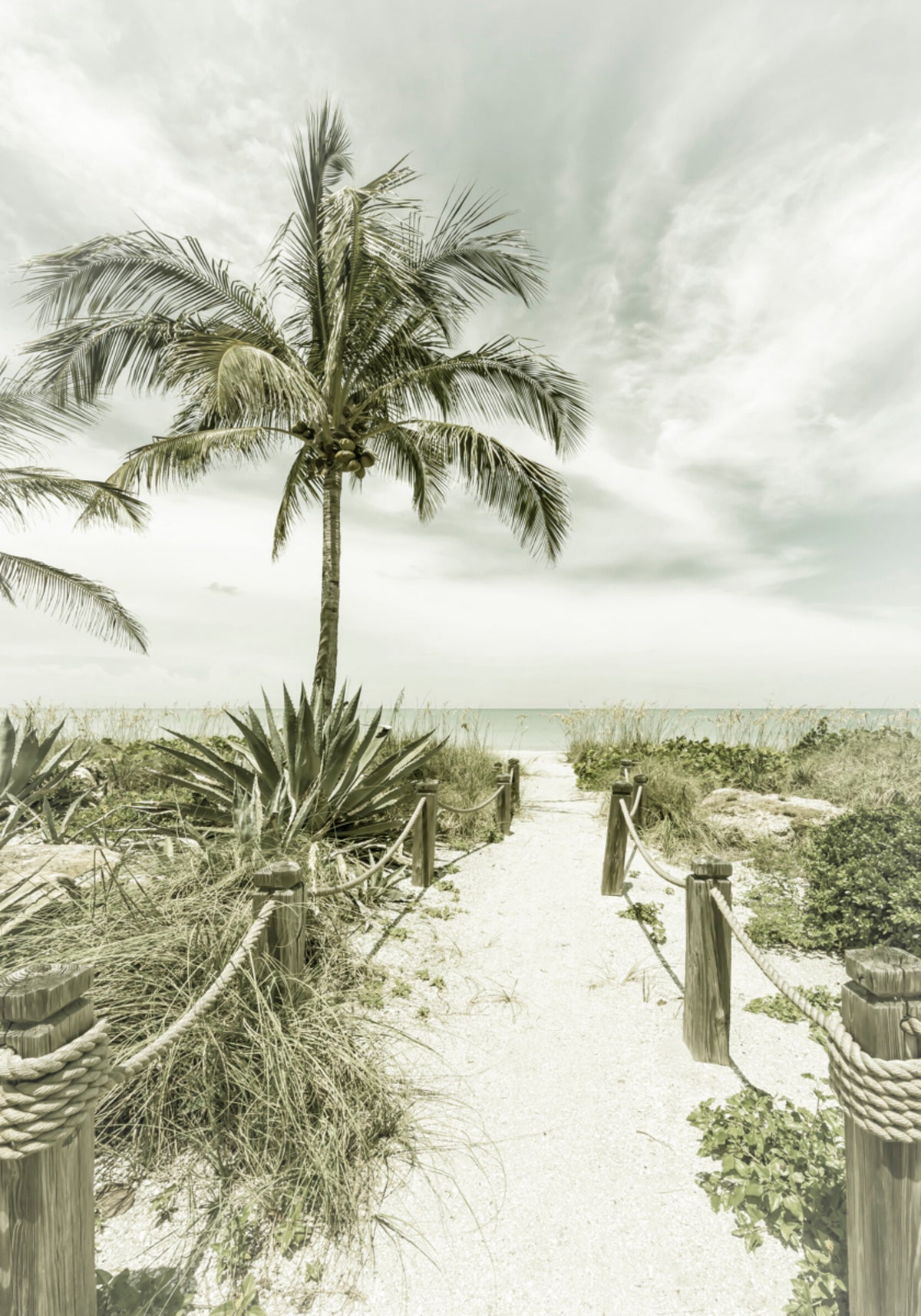 Percorso della spiaggia tropicale