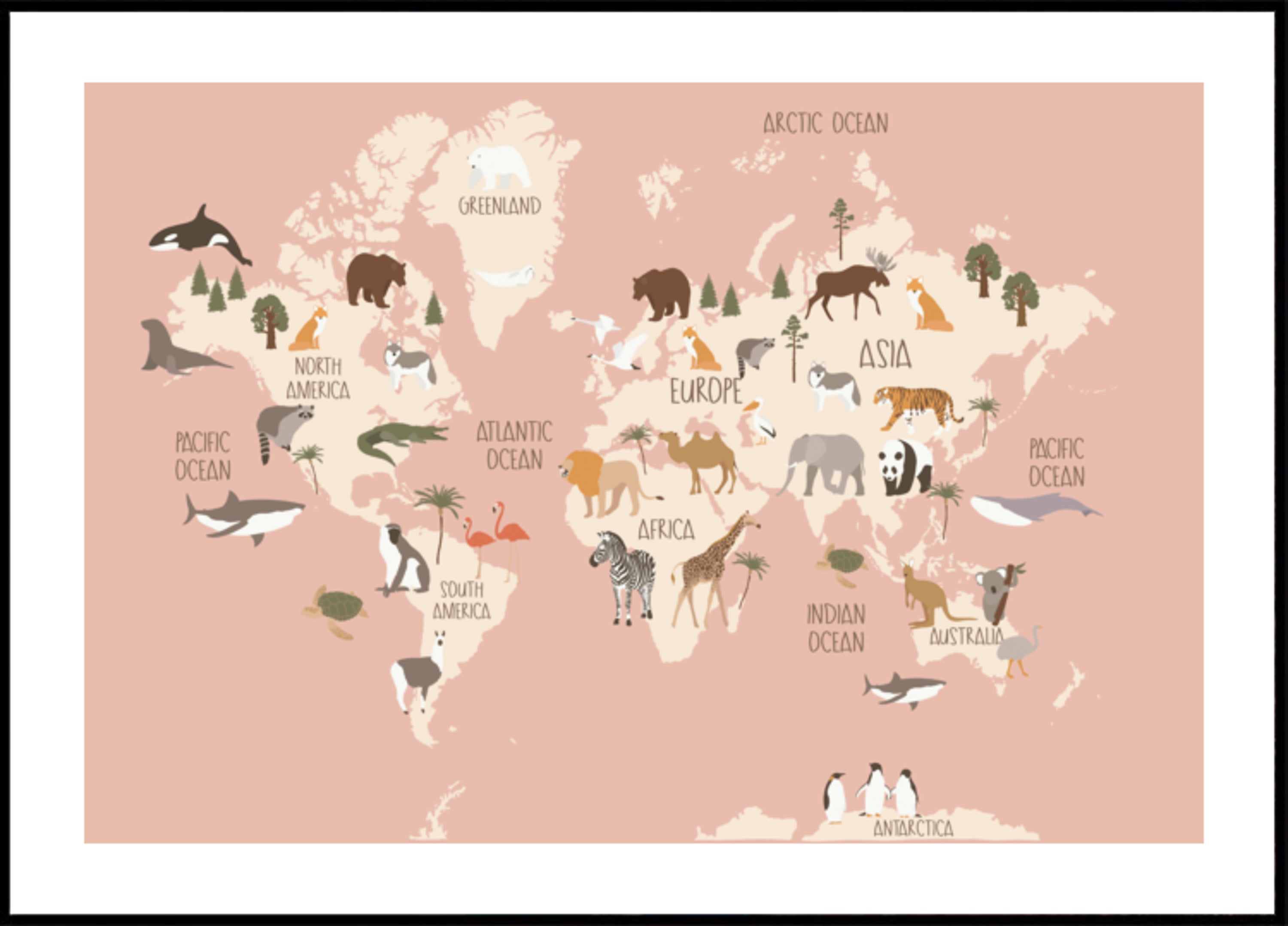Guida globale alla fauna selvatica