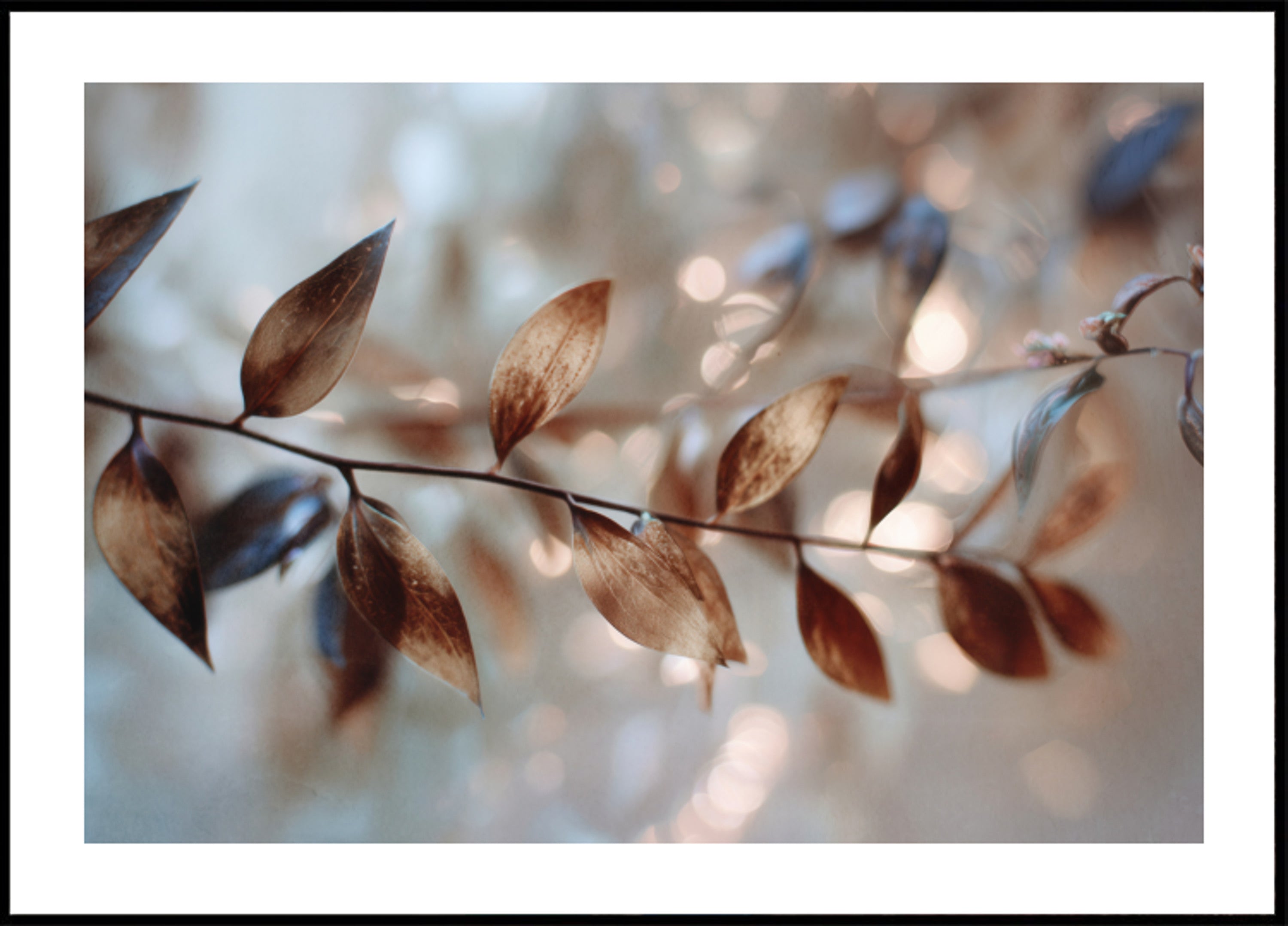 Delicate foglie Bokeh