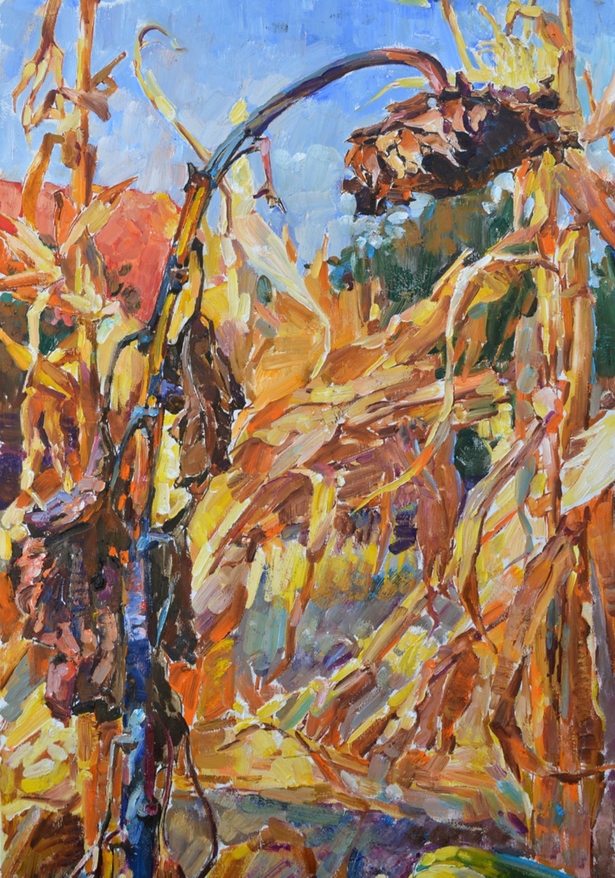 Raccolto autunnale dorato