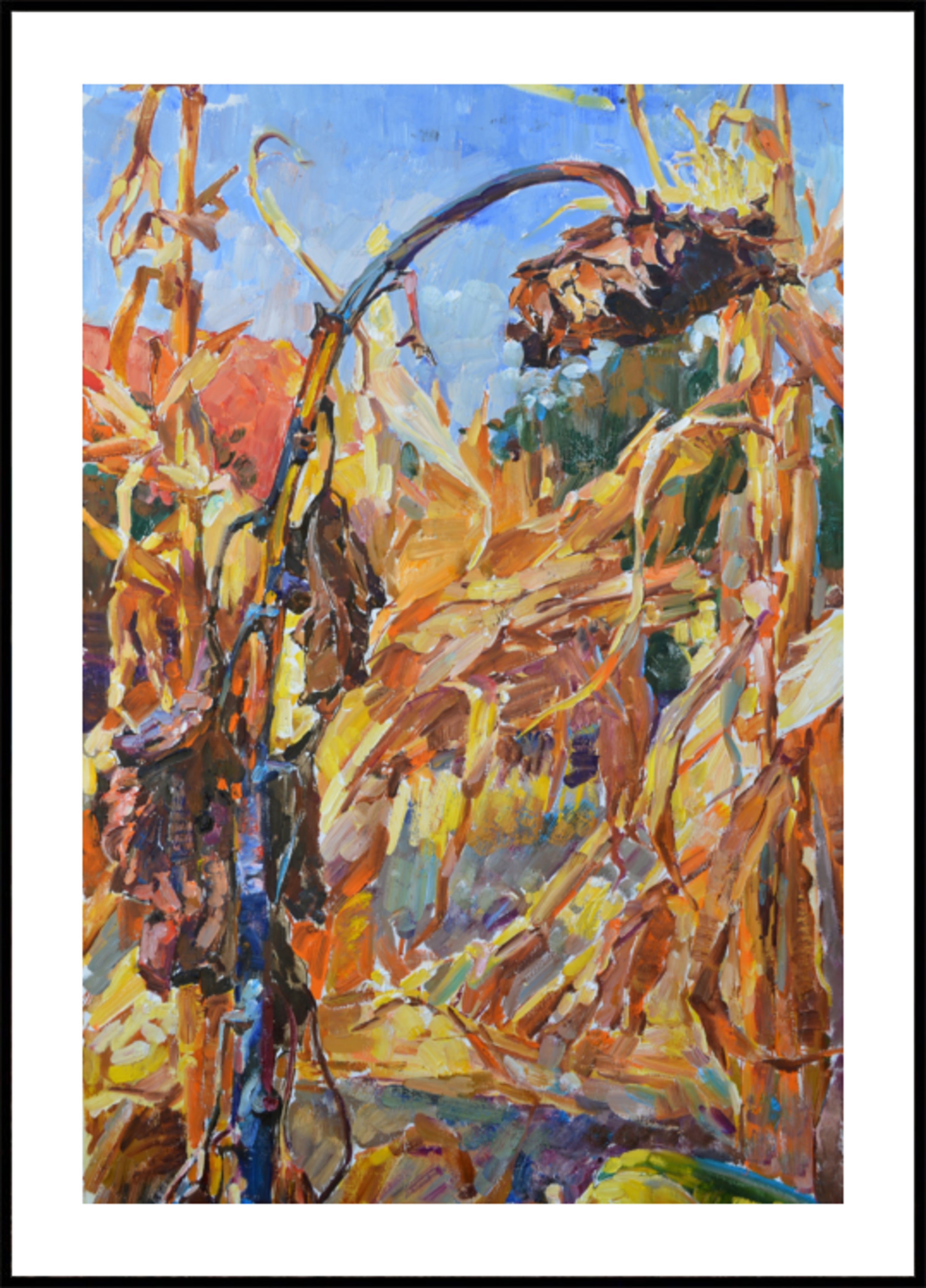 Raccolto autunnale dorato