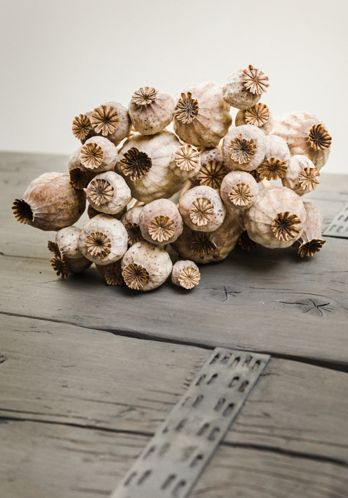 Baccelli Di Papavero Rustici