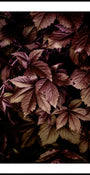 Foglie d'autunno 13
