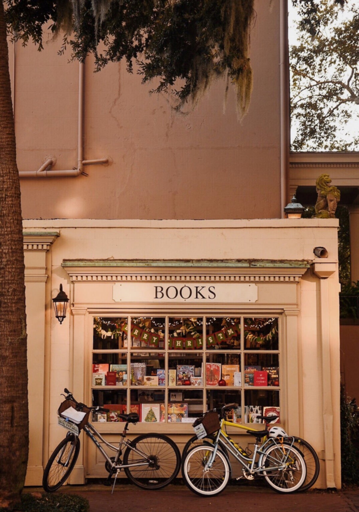 Affascinante scena di strada della libreria