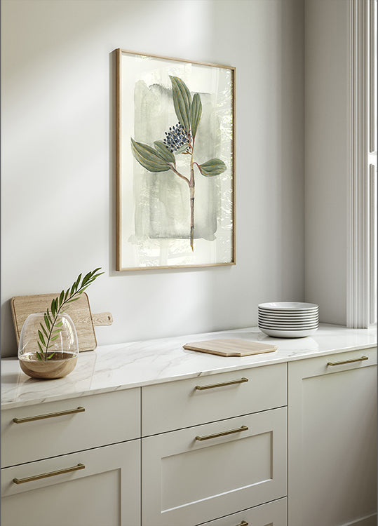 Viburnum davidii (NEW) - Posterbox