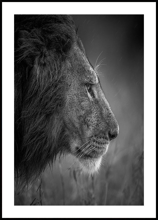 Thinking Under The Rain - Posterbox