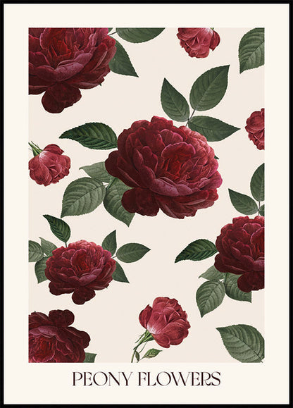 Poster di fiori di peonia 