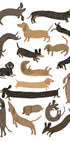 Dachshund Print Plakat - Posterbox