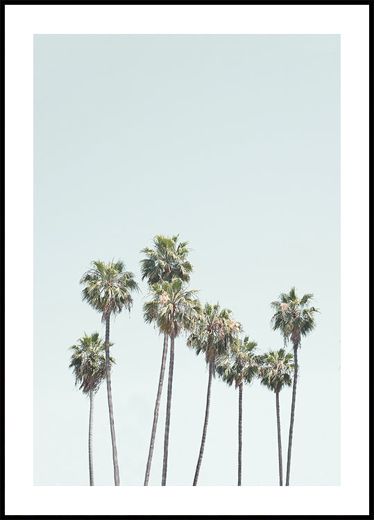 Blue Palm Trees Plakat - Posterbox