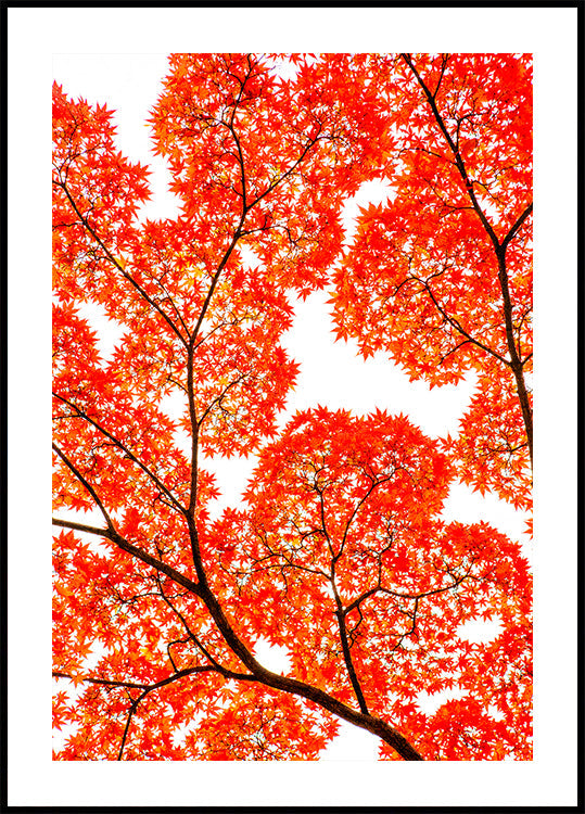 Geometry of Autumn Silence (NEW) - Posterbox
