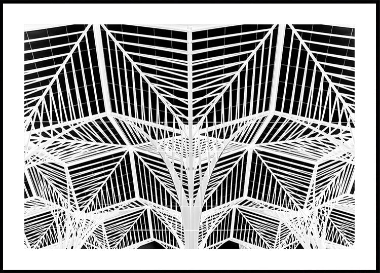 Enter the web Plakat - Posterbox