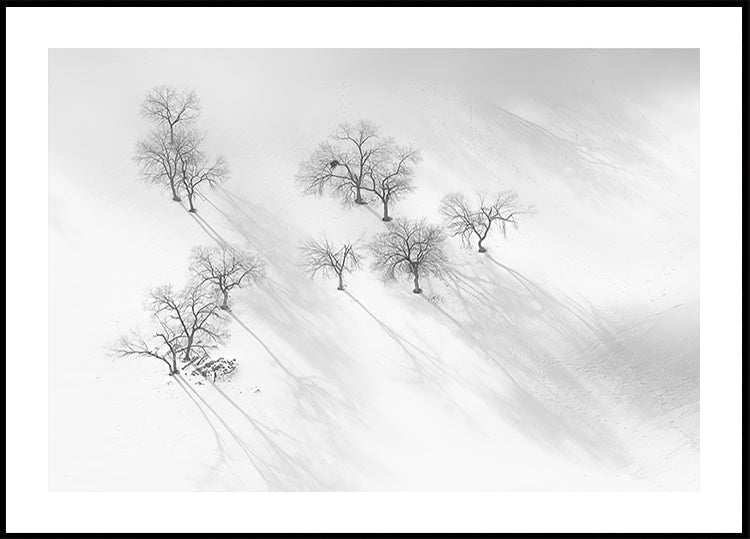 Winter dream - a still ballet Plakat - Posterbox