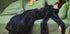 Decadent Young Woman, After the Dance Plakat - Posterbox.dk