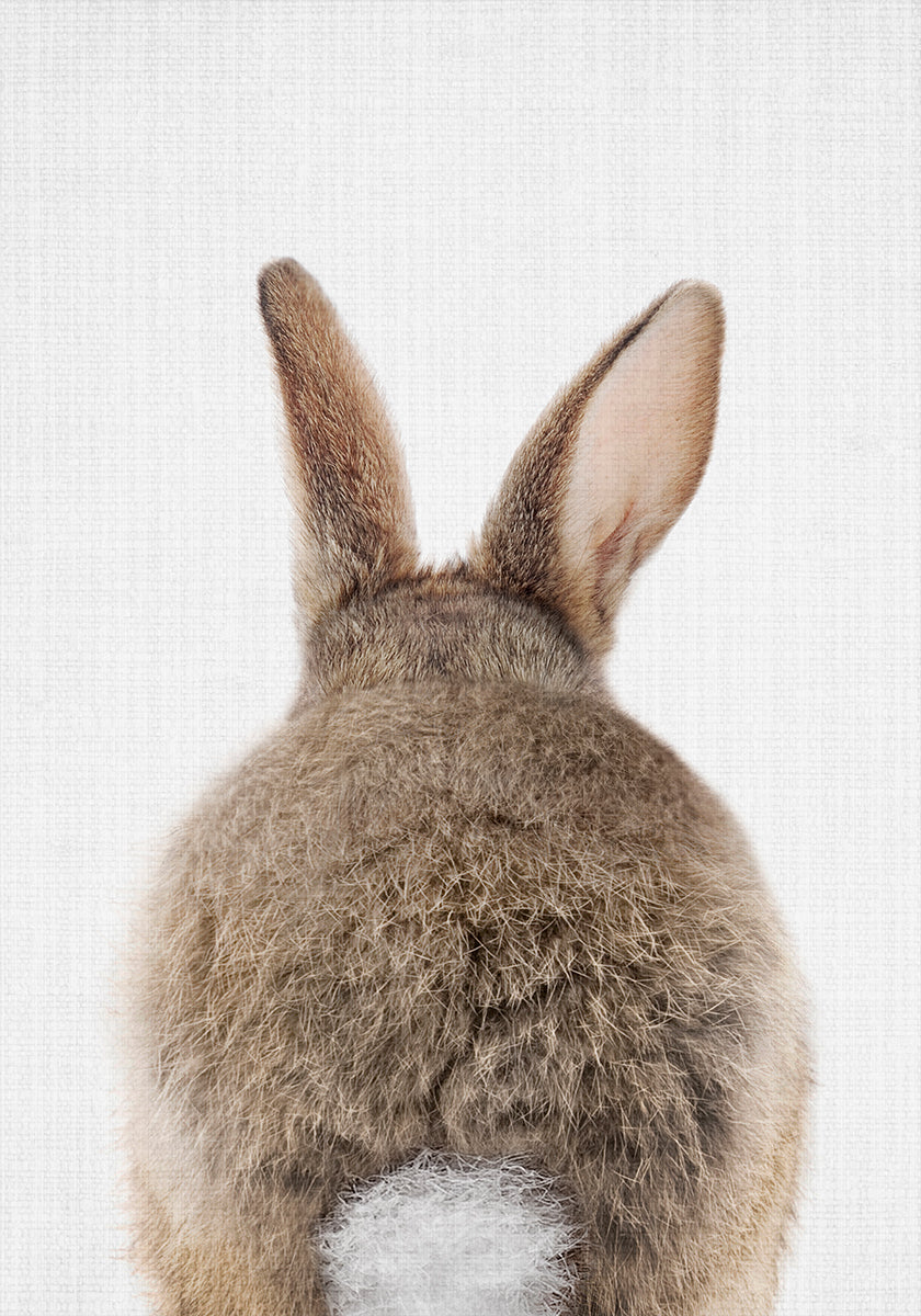 Peekaboo Bunny Tail Plakat - Posterbox