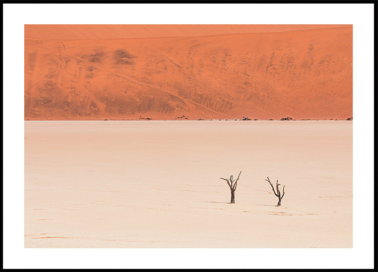 Desert's textures (NEW) - Posterbox