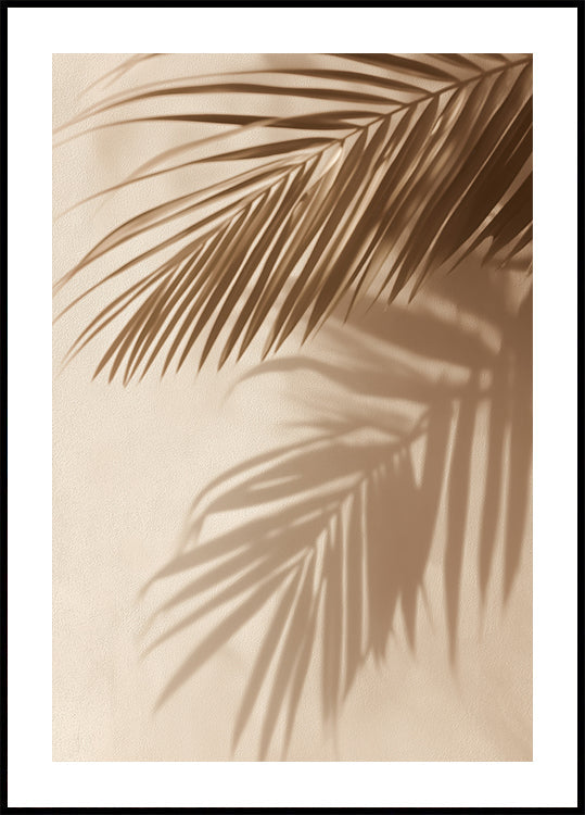 Palm Leaf Shadows (NEW) - Posterbox