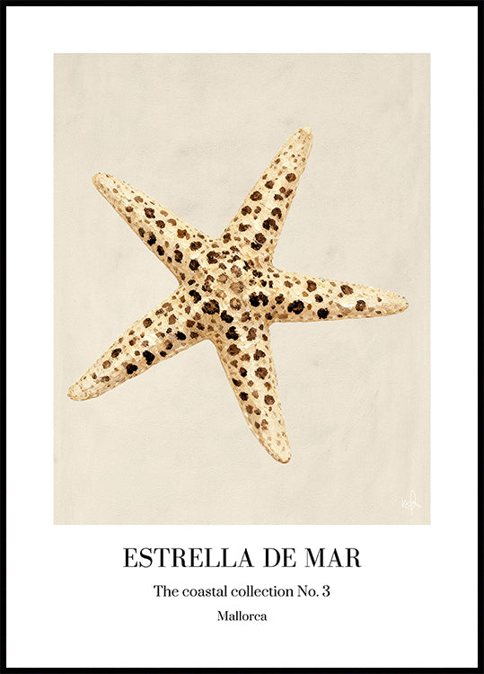 Estrella De Mar (NEW) - Posterbox