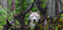 Wolf - Posterbox