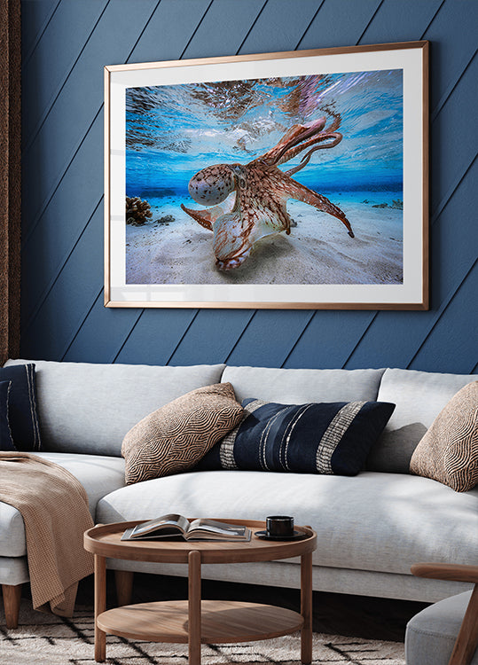 Poster di polipo danzante