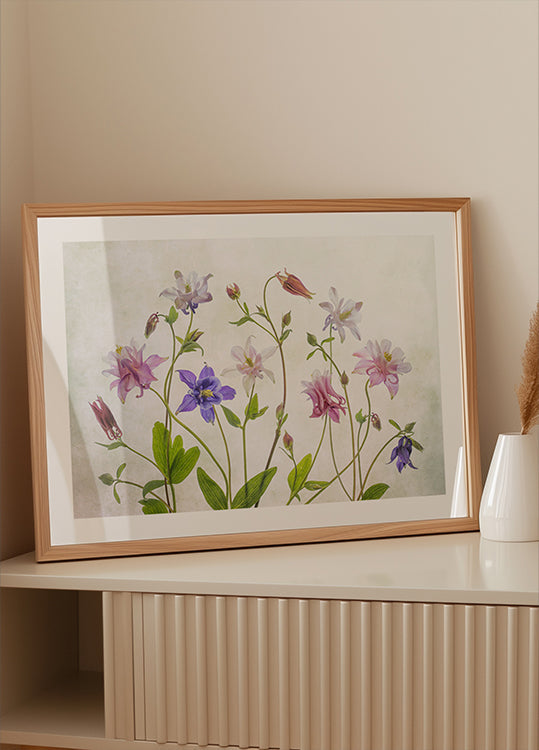 Manifesto della Colombina