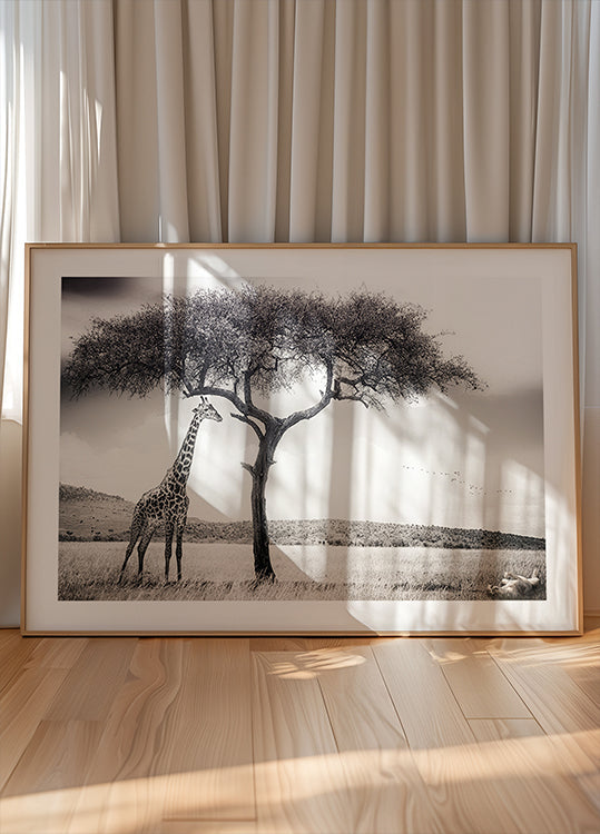 sotto il sole africano Poster