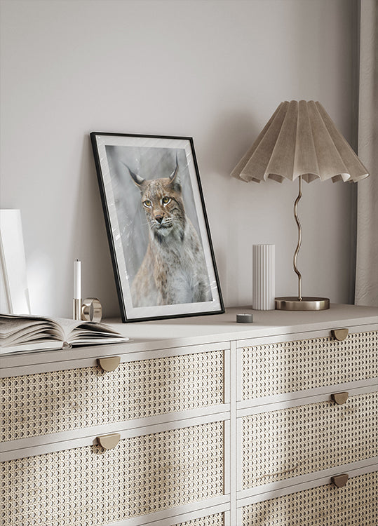 Poster Ritratto di lince nella nebbia