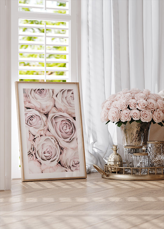 Rose rosa n. 01