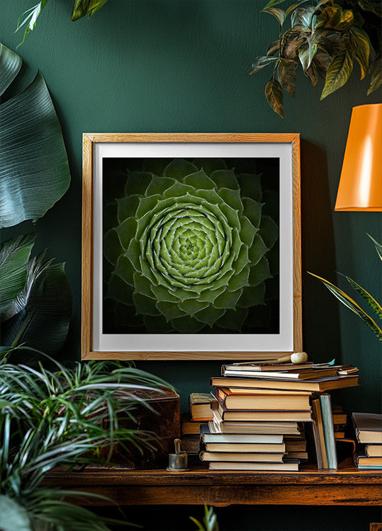 Manifesto succulento