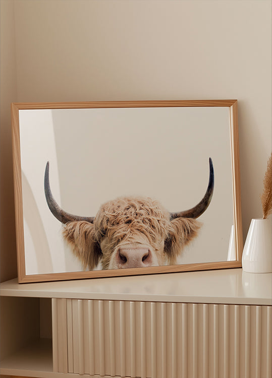 Poster di mucca che sbircia