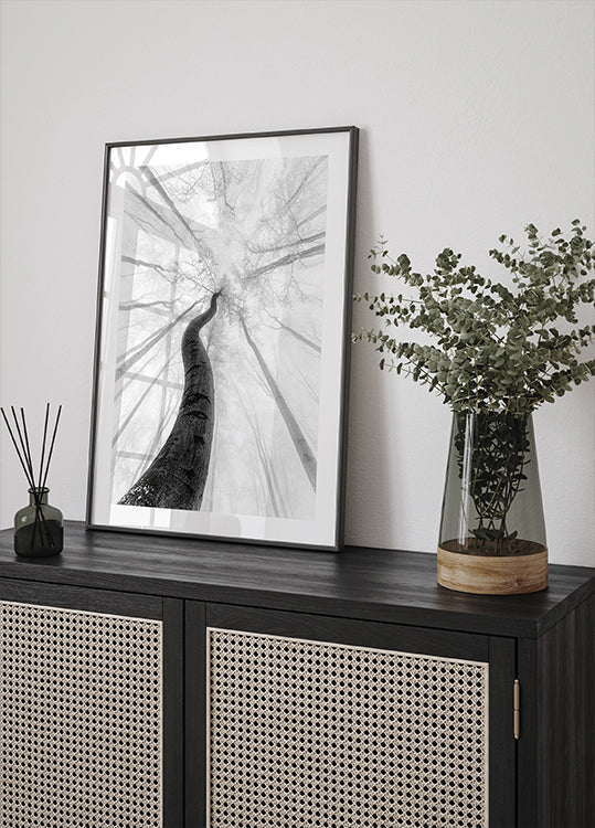 Il manifesto invernale