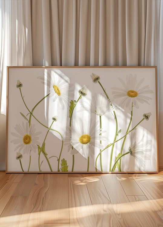 Poster con margherite occhio di bue