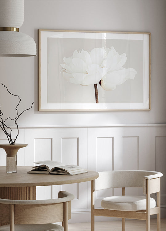 Poster Peonia n.11