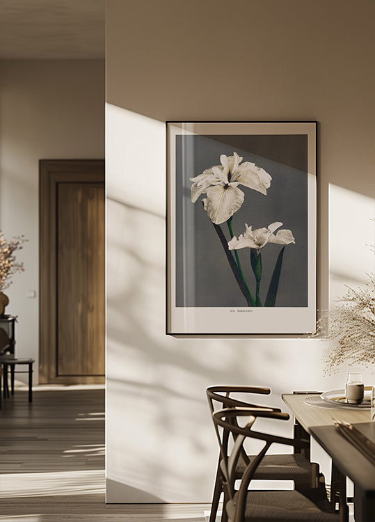 Poster di Iris Kempferi