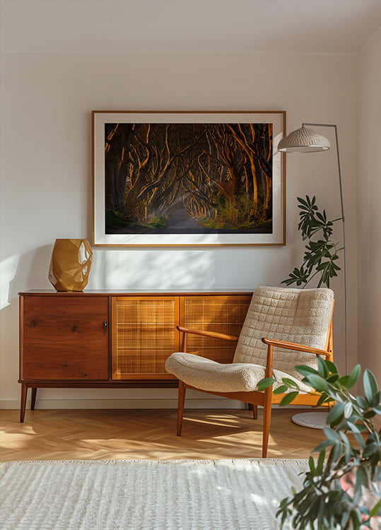 Le siepi scure al sole del mattino