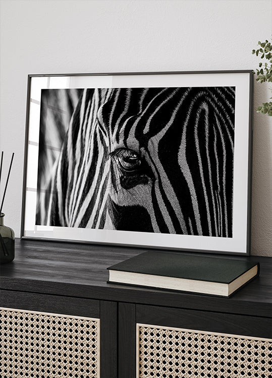 Manifesto astratto della zebra