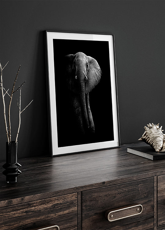 Elefante!