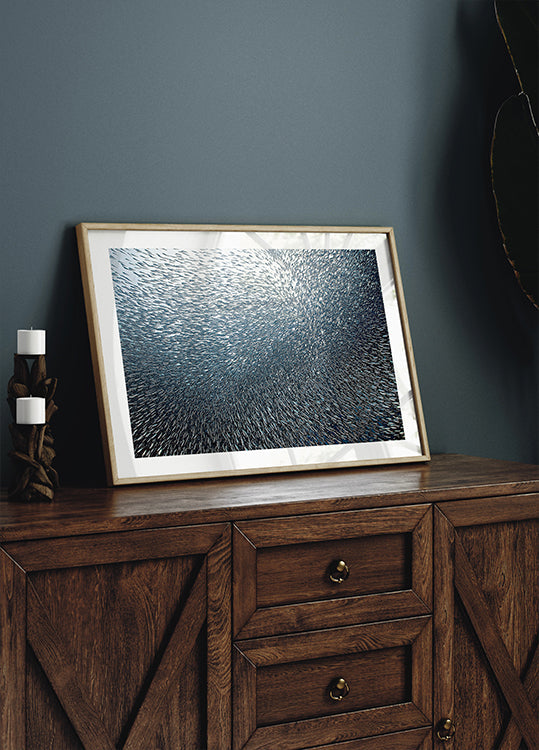 Fuochi d'artificio delle Sardine